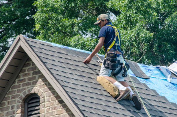 Quick and Trustworthy Emergency Roof Repair Services in Owensboro, KY